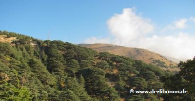 Libanon, Barouk Zedernwald