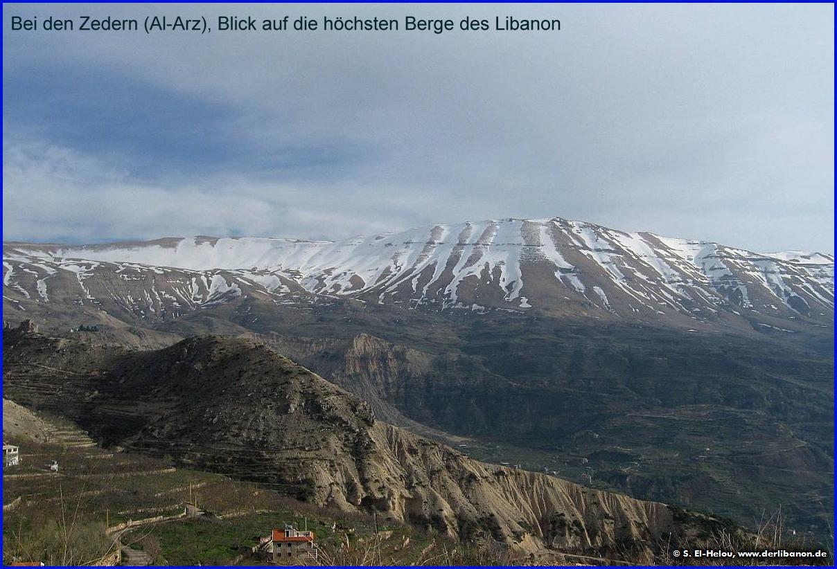 Libanon: Bei den Zedern Al-Arz im Qadisha-Tal: Blick auf die hchsten Berge des Libanon