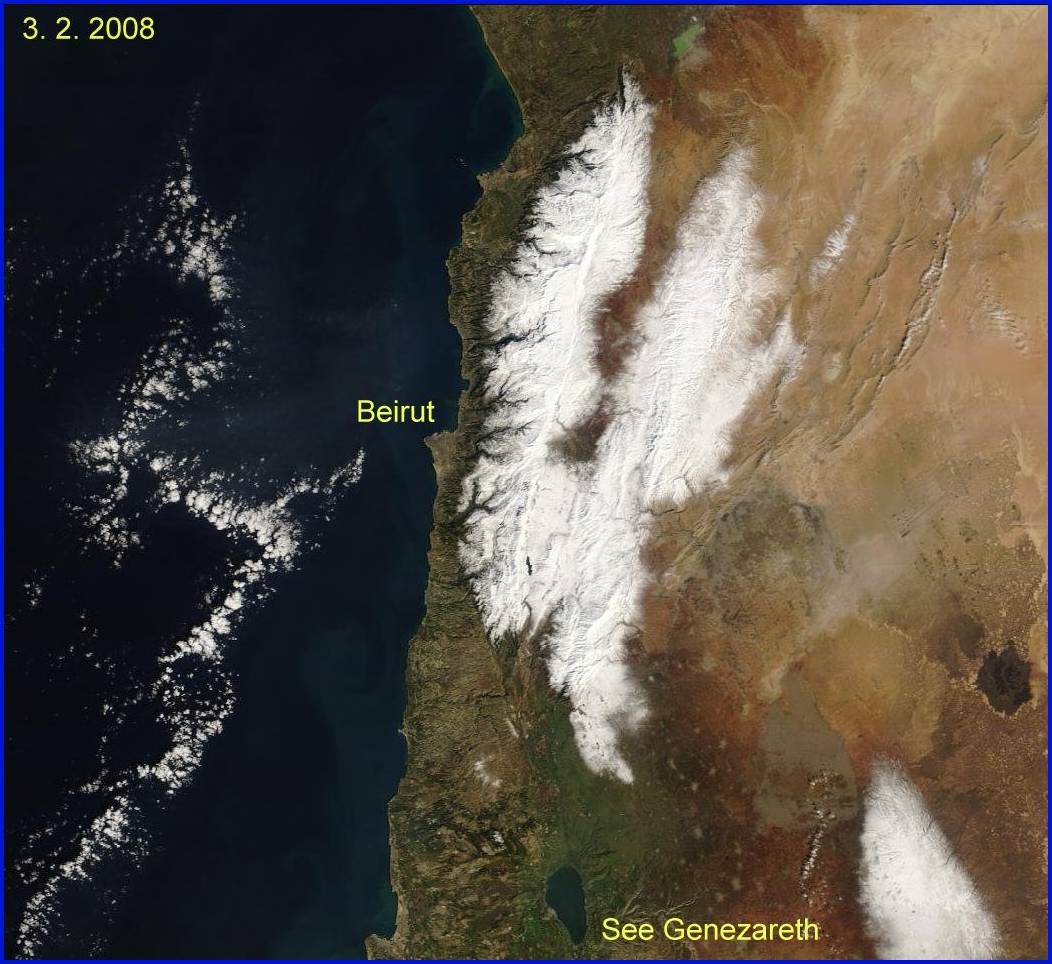 Schneebedeckung des Libanon am 3. 2. 2008 (MODIS-Aufnahme)