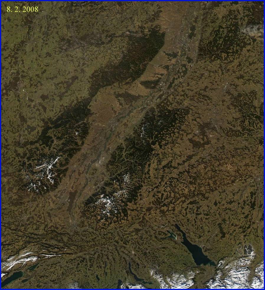 Vergleich zum Libanon: Schneebedeckung von Schwarzwald und Vogesen am 8. 2. 2008 (MODIS-Aufnahme)