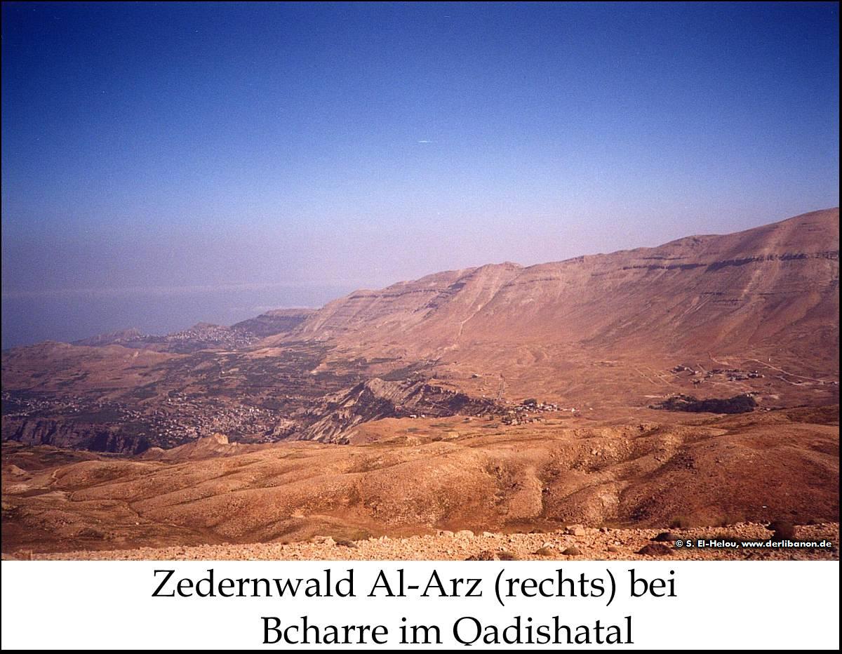 Libanon: Zedernwald Al-Arz, Bcharre und das Qadisha-Tal