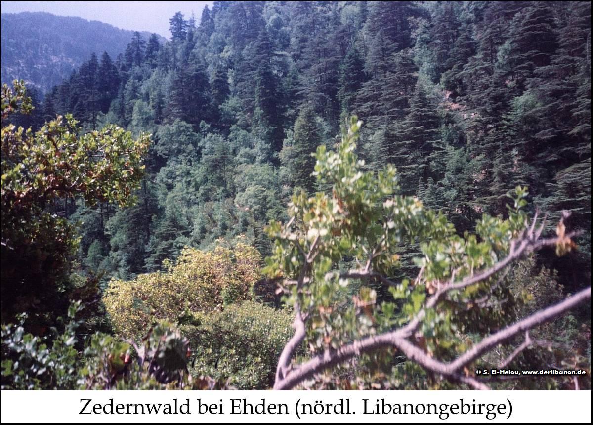 Libanon: Naturschutzgebiet bei Ehden
