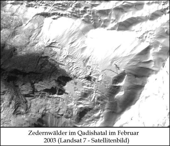 Libanon: Satellitenbild, Zedernwald im Qadischa-Tal